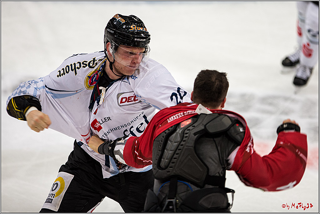 Koelner Haie - Straubing Tigers, 03.10.2016